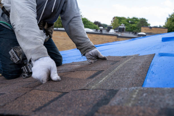 Best Emergency Roof Repair  in Lansford, PA