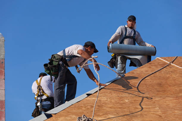 Best Roof Repair Services  in Lansford, PA